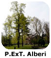 PXT Alberi